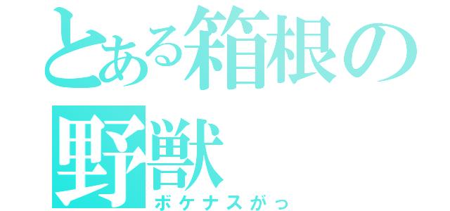 とある箱根の野獣（ボケナスがっ）