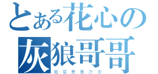 とある花心の灰狼哥哥（拈 花 惹 草 万 岁）