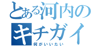 とある河内のキチガイＴＬ（何がいいたい）