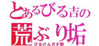 とあるびる吉の荒ぶり垢（びるけんガチ勢）