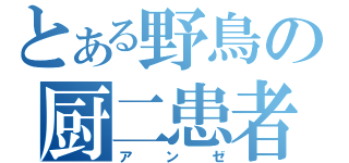 とある野鳥の厨二患者（アンゼ）