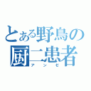 とある野鳥の厨二患者（アンゼ）