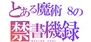 とある魔術８の禁書機録（セグメンタル・ドラゴン ）