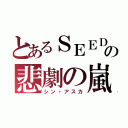 とあるＳＥＥＤの悲劇の嵐（シン・アスカ）