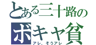 とある三十路のボキャ貧（アレ、そうアレ）