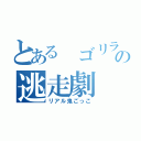 とある ゴリラの逃走劇（リアル鬼ごっこ）