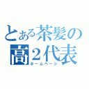 とある茶髪の高２代表（ホームページ）