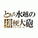 とある水越の排便大砲（ミグソバズーカ）