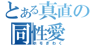 とある真直の同性愛（ホモぎわく）