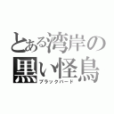 とある湾岸の黒い怪鳥（ブラックバード）