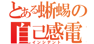 とある蜥蜴の自己感電（インシデント）