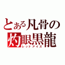 とある凡骨の灼眼黒龍（レッドアイズ）