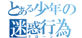 とある少年の迷惑行為（ドローン）