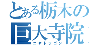 とある栃木の巨大寺院（ニヤドラゴン）