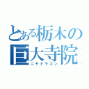 とある栃木の巨大寺院（ニヤドラゴン）