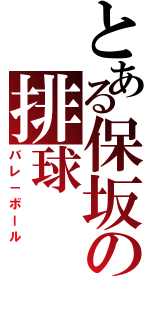 とある保坂の排球（バレ－ボール）