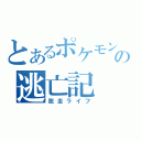 とあるポケモンの逃亡記（脱走ライフ）