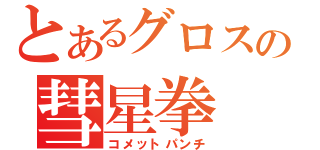 とあるグロスの彗星拳（コメットパンチ）