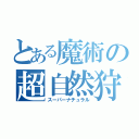 とある魔術の超自然狩（スーパーナチュラル）