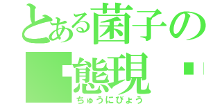 とある菌子の变態現实（ちゅうにびょう）