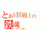 とある狂戦士の鉄魂（ドラゴン殺し）