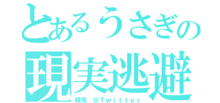 とあるうさぎの現実逃避（晴兎　＠Ｔｗｉｔｔｅｒ）