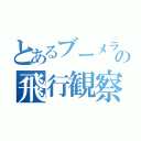 とあるブーメランの飛行観察（）