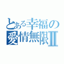 とある幸福の愛情無限Ⅱ（）