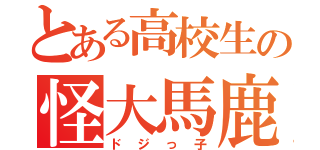 とある高校生の怪大馬鹿者（ドジっ子）