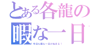 とある各龍の暇な一日（今日も暇な一日が始まる！）