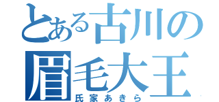 とある古川の眉毛大王（氏家あきら）