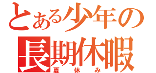 とある少年の長期休暇（夏休み）