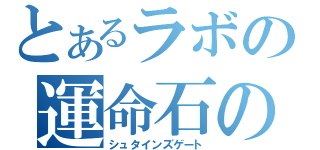 とあるラボの運命石の扉（シュタインズゲート）