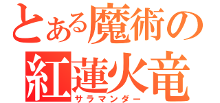 とある魔術の紅蓮火竜（サラマンダー）