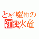 とある魔術の紅蓮火竜（サラマンダー）