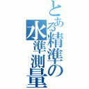 とある精準の水準測量（）