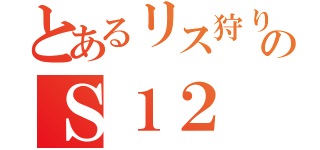 とあるリス狩りのＳ１２（）