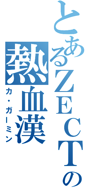 とあるＺＥＣＴの熱血漢（カ・ガーミン）