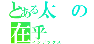 とある太の在乎（インデックス）