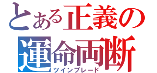 とある正義の運命両断（ツインブレード）