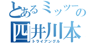 とあるミッツーの四井川本川上（トライアングル）