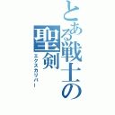 とある戦士の聖剣（エクスカリバー）