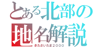 とある北部の地名解説（きたさいたま２０００）