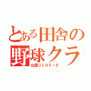 とある田舎の野球クラブ（白馬リトルリーグ）