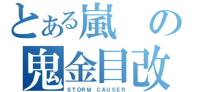 とある嵐の鬼金目改（ＳＴＯＲＭ ＣＡＵＳＥＲ）