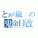 とある嵐の鬼金目改（ＳＴＯＲＭ ＣＡＵＳＥＲ）