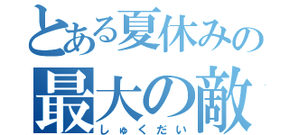 とある夏休みの最大の敵（しゅくだい）