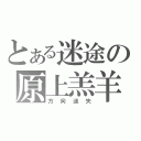 とある迷途の原上羔羊（方向迷失）