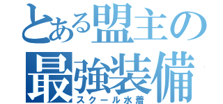 とある盟主の最強装備（スクール水着）