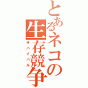 とあるネコの生存競争（サバイバル）